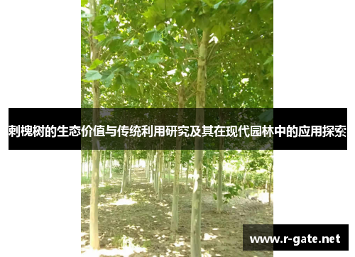 刺槐树的生态价值与传统利用研究及其在现代园林中的应用探索