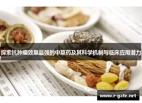 探索抗肿瘤效果最强的中草药及其科学机制与临床应用潜力