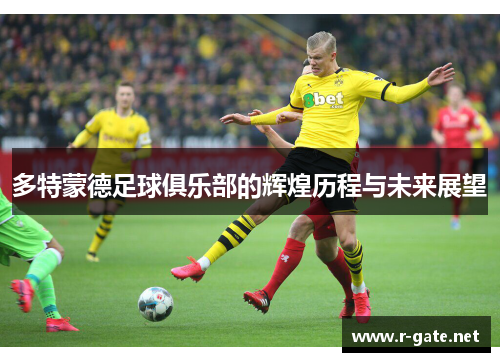 多特蒙德足球俱乐部的辉煌历程与未来展望